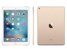 Apple iPad Air 2 MH1J2CH/A （9.7英寸 128G WLAN 机型 金色）