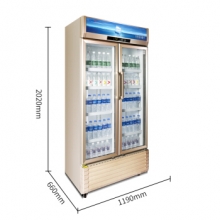 星星 LSC-810WD 两门风冷 双门冷藏立式商用展示柜 啤酒饮料陈列柜  金色