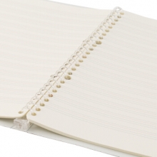 齐心 CLB51006 26孔活页替芯 B5 100张 英文格  粉色