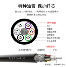 博扬（BOYANG）BY-GYTS-4B1.3 铠装4芯单模室外光缆 GYTS层绞式室外架空/管道网线光纤线 100米 可定制长度