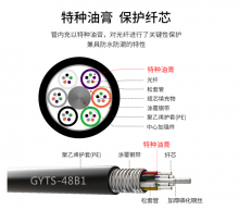 博扬（BOYANG）BY-GYTS-48B1.3 铠装48芯单模室外光缆 GYTS层绞式架空/管道网线光纤线 100米 可定制长度